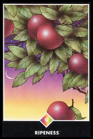 9 Радуги. Спелость. Ошо Дзен Таро