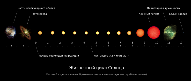 Жизненный цикл Солнца