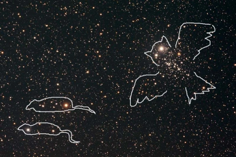 Сова NGC 457